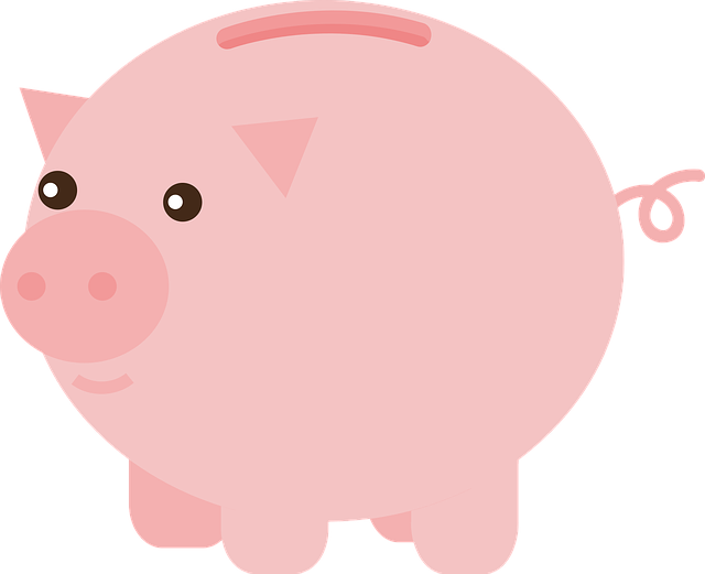 income disparity mediation