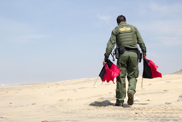 insect control services