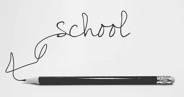 Instructional Schema Markup