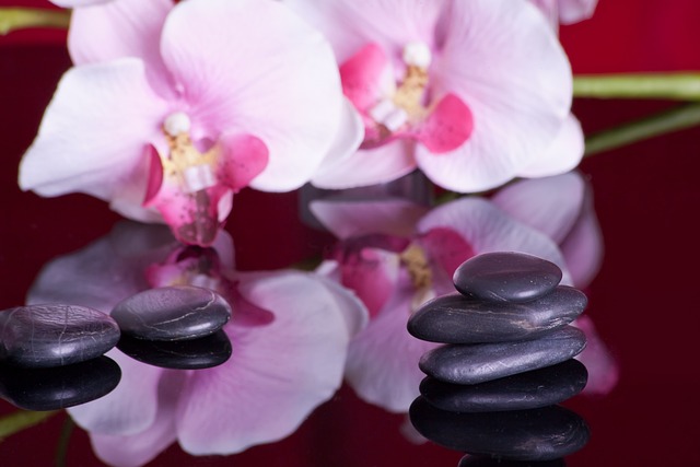 integrative wellness Austin