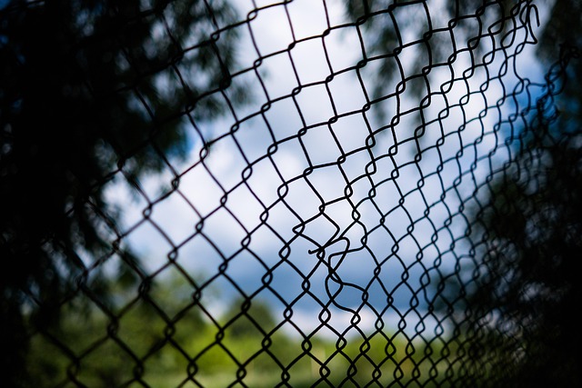 internal link audit for WordPress