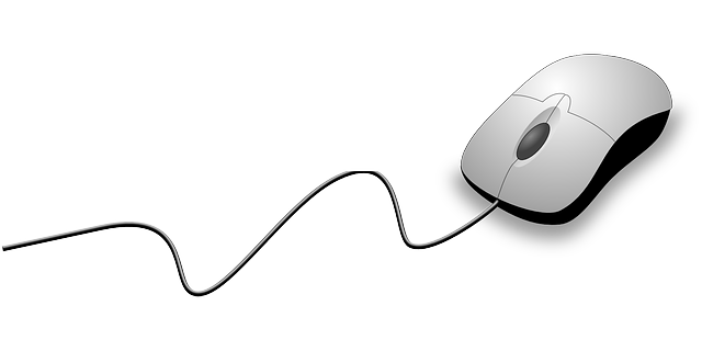 internal link audit tool