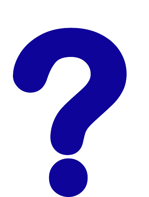IT query resolution CPAs