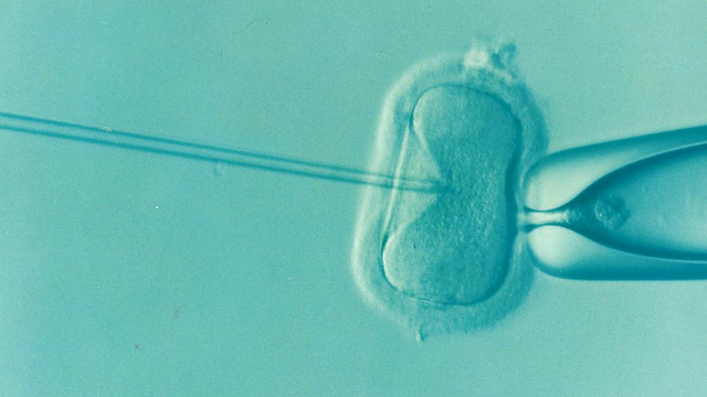 IVF acupuncture Austin