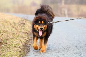 Mastering Lead Follow-up: Strategies for Medical Conversions