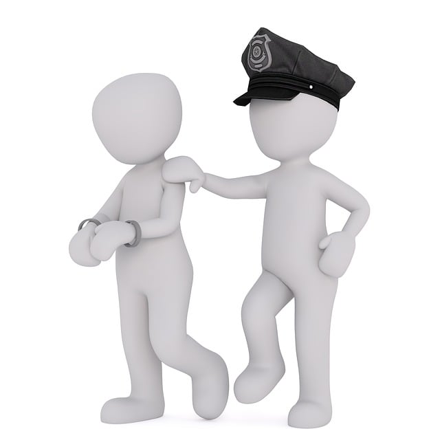 legal custody mediation