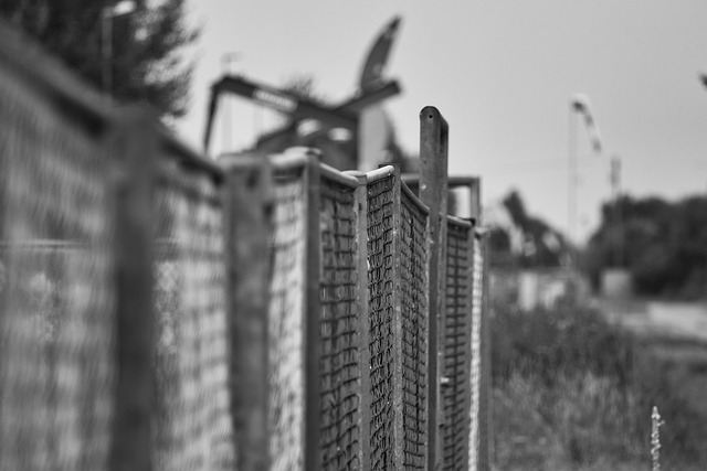 Link Building