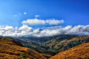 Boost Local Search Rankings with Structured Data: Harnessing LocalBusiness Schema