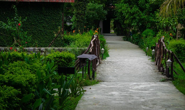 Luxury Spa Services