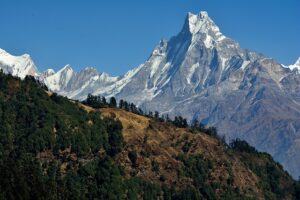 Marketing Leadership Summit: Unlocking Growth Hacking Secrets for Rapid Business Expansion