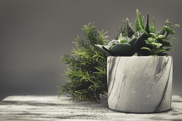 med spa commercial coverage