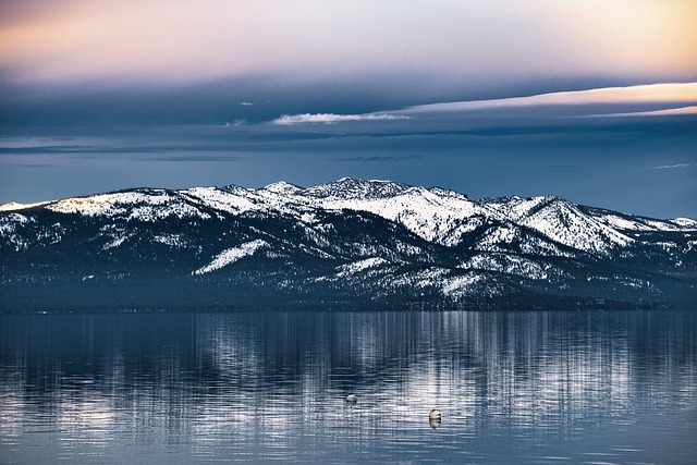 mediation services in California