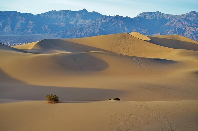 mediation services in California
