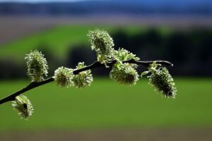 Mindfulness Therapy Mesa: Stress Relief, Anxiety Management, Depression Support