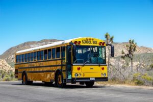 Tempe MMA Training: Your Comprehensive Guide to Gym Selection and Class Expectations