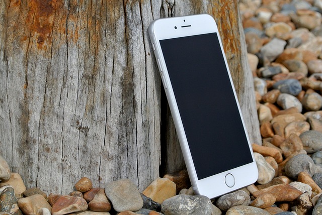 Mobile-Friendly Design