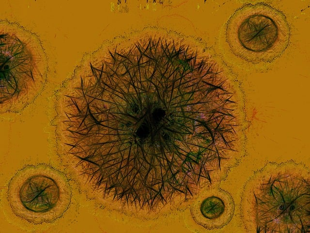 Morpheus 8 Clinics