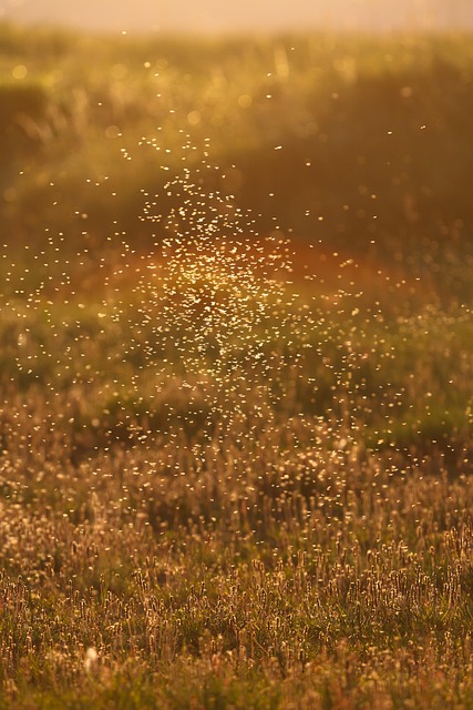 mosquito and tick control