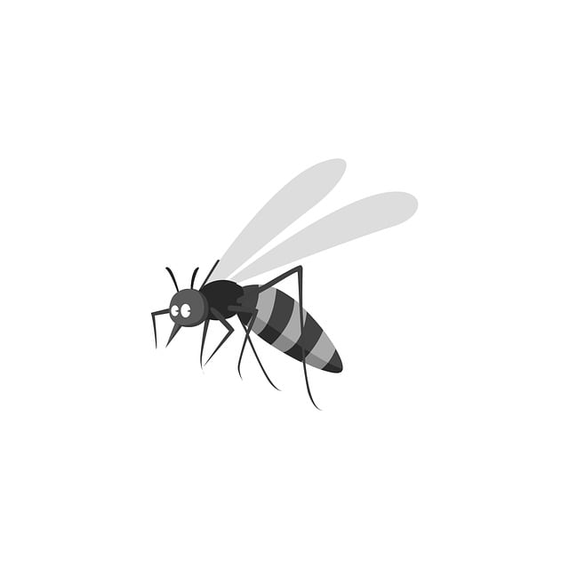Mosquito Control