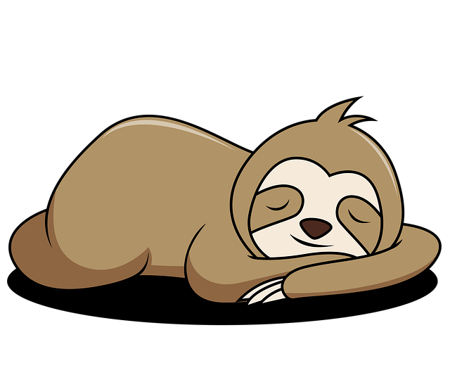NAP Schema Markup