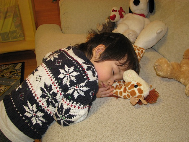 NAP Schema Markup