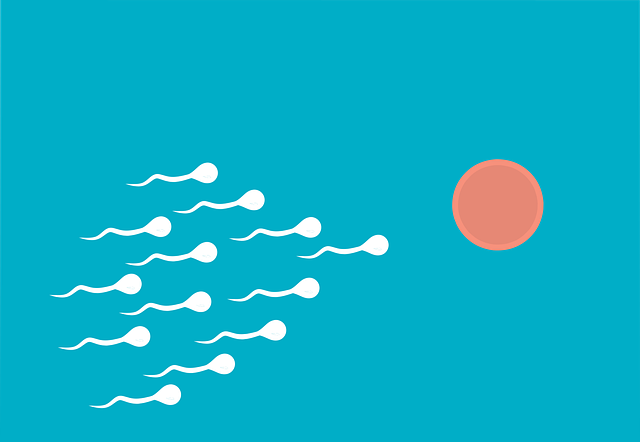 natural fertility Austin