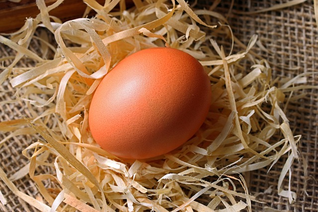 natural fertility Austin