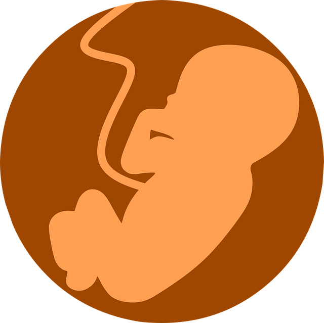 natural fertility Austin