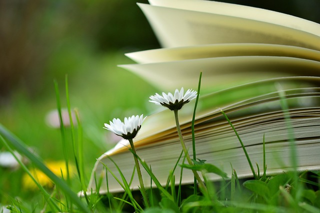 On-Page Optimization Training