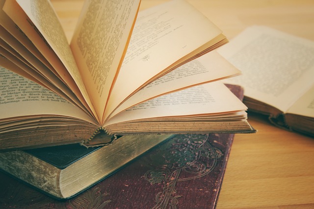 On-Page Optimization Training