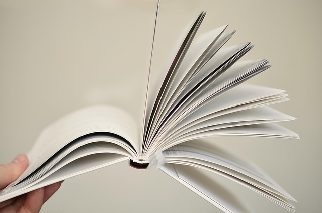On-Page Optimization Training