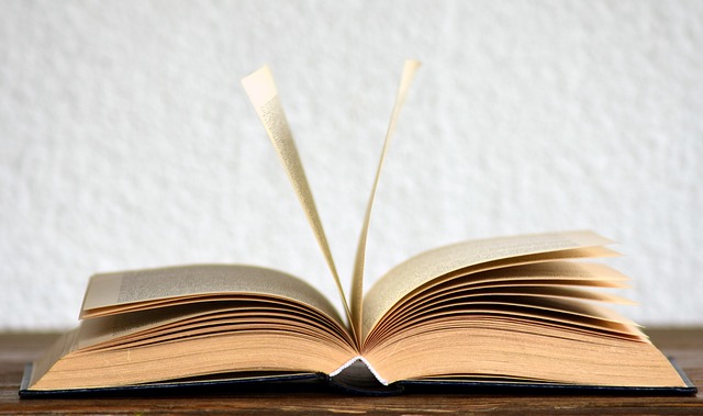 On-Page Optimization Training