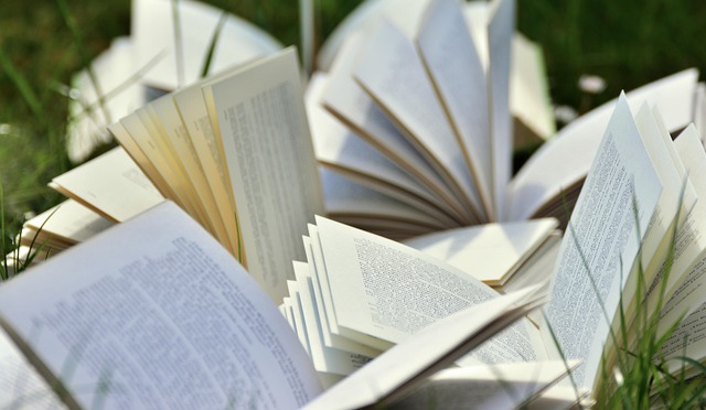 On-Page Optimization Training