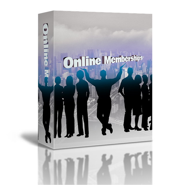 Online SEO Training