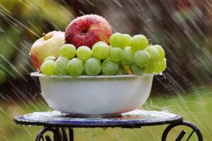 Unleash Organic Traffic: Proven Strategies for Site Success