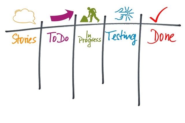 Organization Structured Data