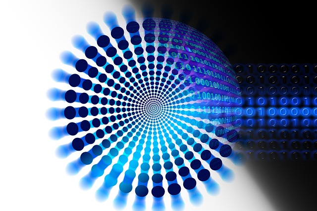 Organization Structured Data