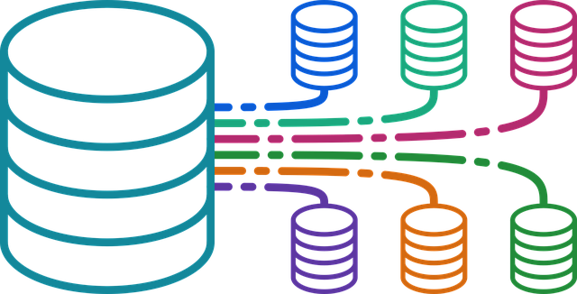 Organization Structured Data