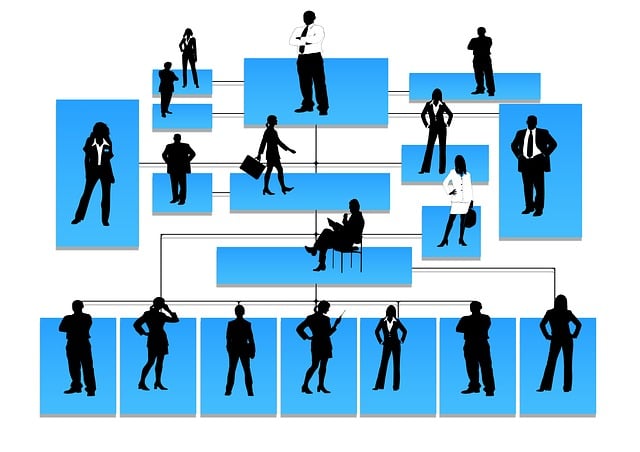 Organization Structured Data