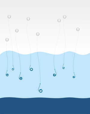 Schema Markup: Organize Data, Boost Brand Understanding