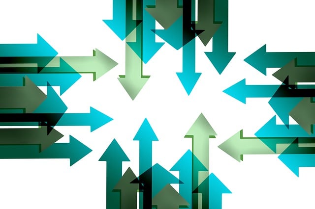 Organization Structured Data