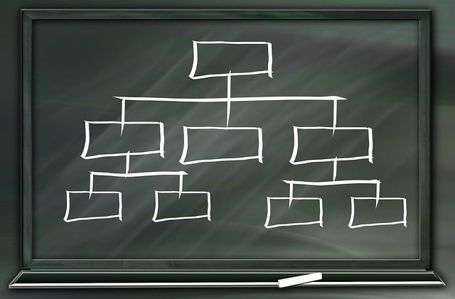 Organization Structured Data