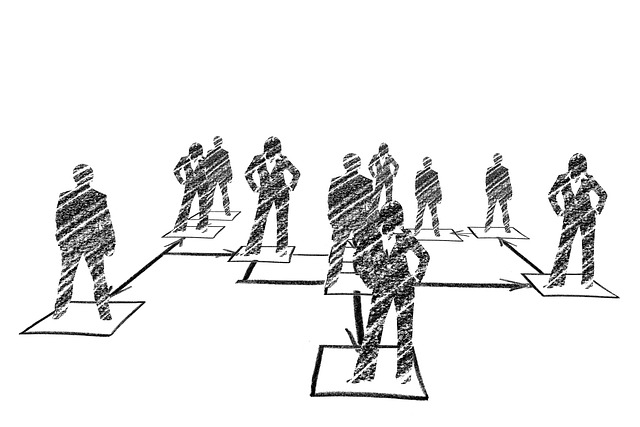 Organization Structured Data