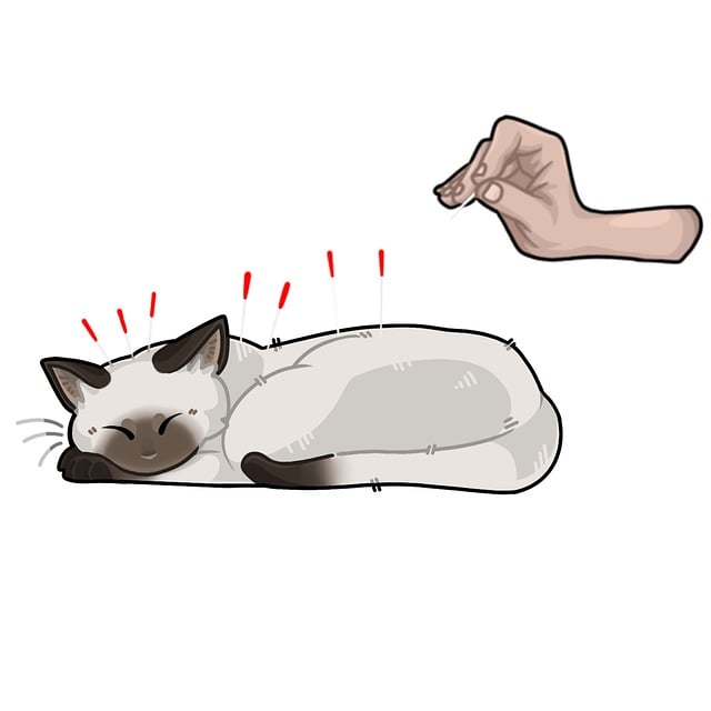 pain relief acupuncture