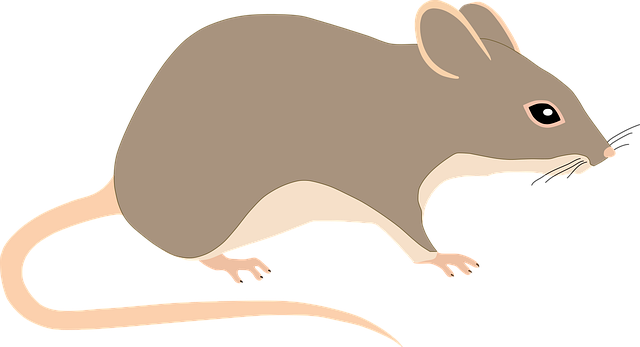 pest exterminator