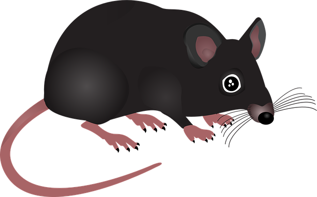 pest exterminator