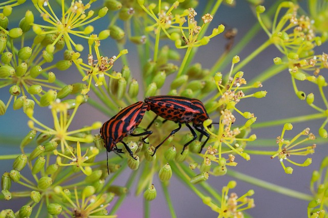 pest exterminator