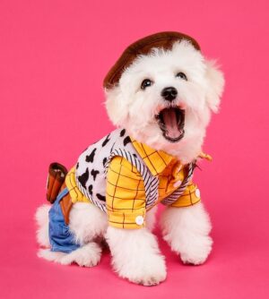 Citrus Bright: Expert Pet Urine Carpet Cleaning in East Valley, AZ