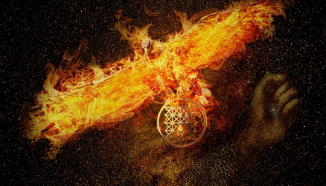 Phoenix fat freezing
