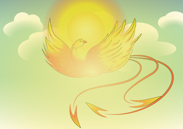 Phoenix fat freezing